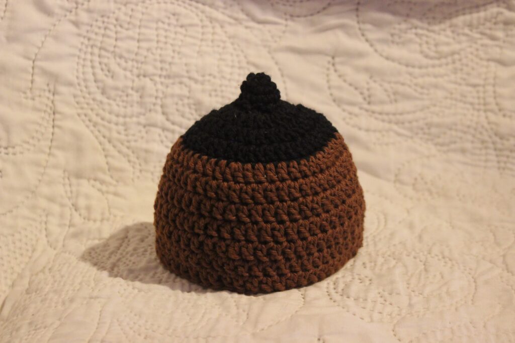 Newborn crochet beanie